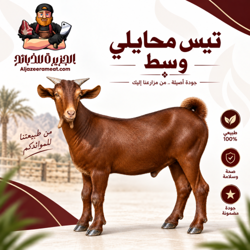 تيس محايلي وسط