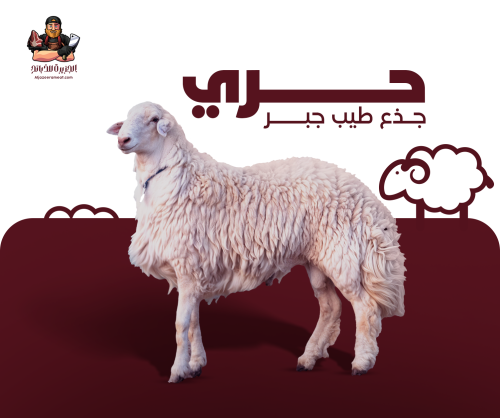 حري جذع طيب جبر