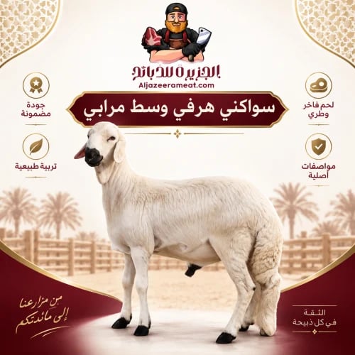 سواكني هرفي وسط مرابي