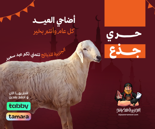 اضاحي العيد حري جذع