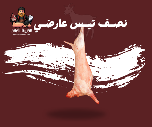 نصف تيس عارضي وسط