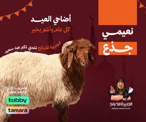اضاحي العيد نعيمي جذع