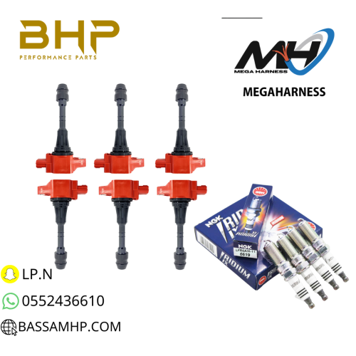 بكج تصفية فتك بواجي وكويلات