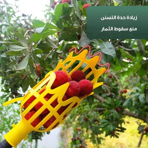 أداة قطف الفواكة | متجر الجيل الأخضر