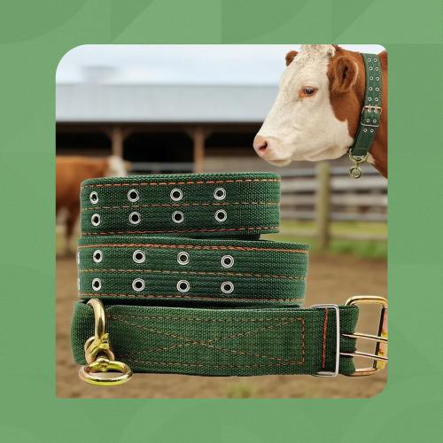 طوق مواشي قوي قابل للتعديل – قماش متين للتحكم ونقل...