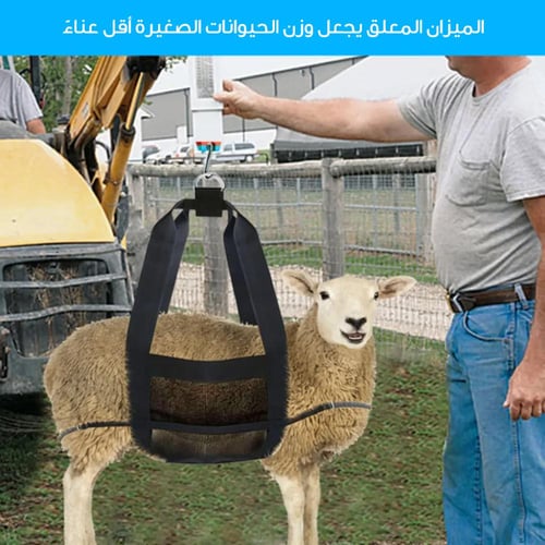 حمالة لوزن العجول والمواشي | متجر الجيل الأخضر