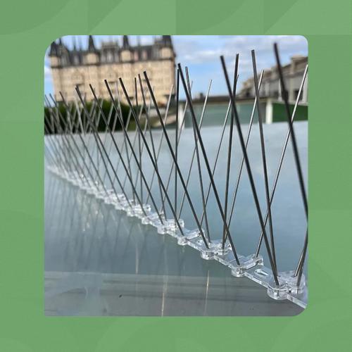 مسامير رادعة للطيور والحيوانات | متجر الجيل الأخضر