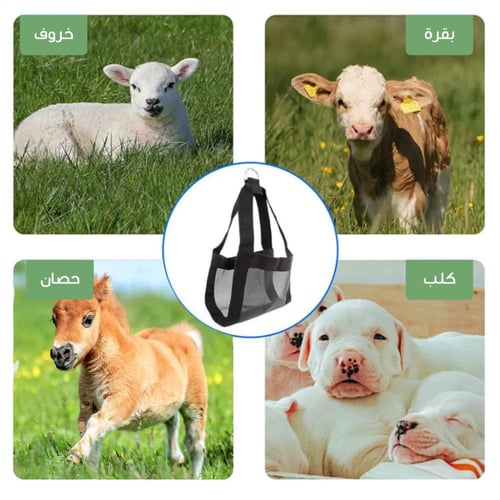 حمالة لوزن العجول والمواشي | متجر الجيل الأخضر