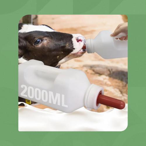 رضاعة للمواشي سعة 2 لتر | متجر الجيل الأخضر