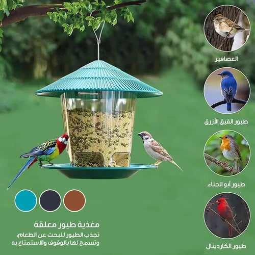 وحدة تغذية الطيور البرية الشفافة | متجر الجيل الأخ...