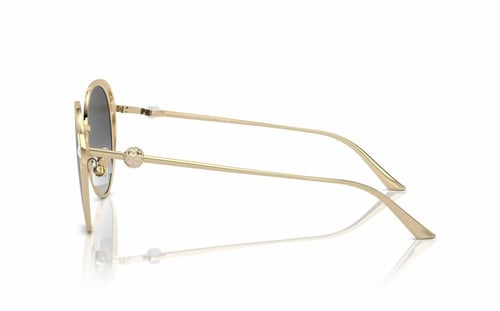 نظارة شمسية جيمي تشو JC 4003HB 30068G