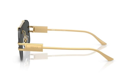 نظارة شمسية فيرزاتشي VE 2275 1002/87