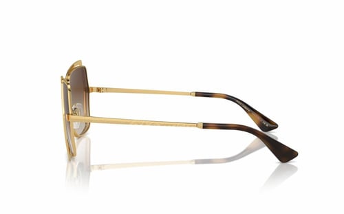 دولتشي أند غابانا DG 2306 02/13