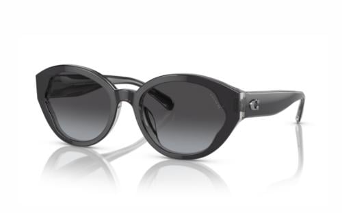 Coach Oval Sunglasses For Women HC 8364U 57458G Black