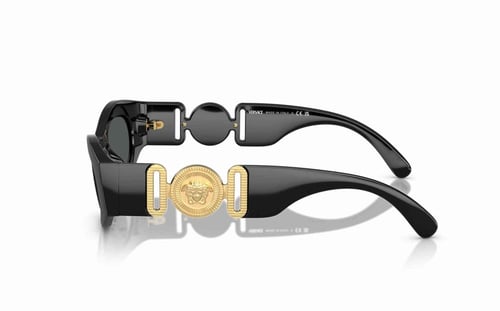 نظارة شمسية فيرزاتشي VE 4480-U GB1/87