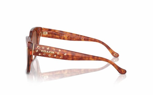 HC 8392U 577413 كوتش نظارة شمسية نسائي مربعة هافان...