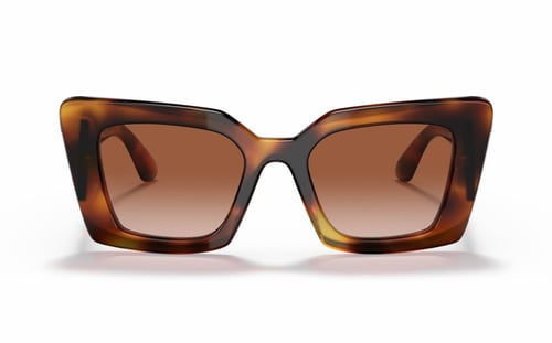 بربري BE 4344 3316/13