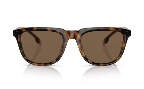 بربري BE 4381-U 3002/73