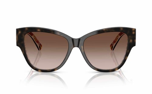 نظارة شمسية نسائي دولتشي أند غابانا DG 4449 3217/1...