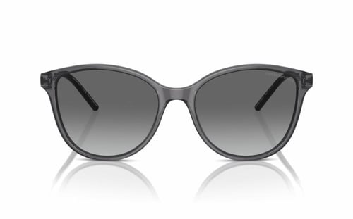 إمبوريو أرماني EA 4220 6106/11