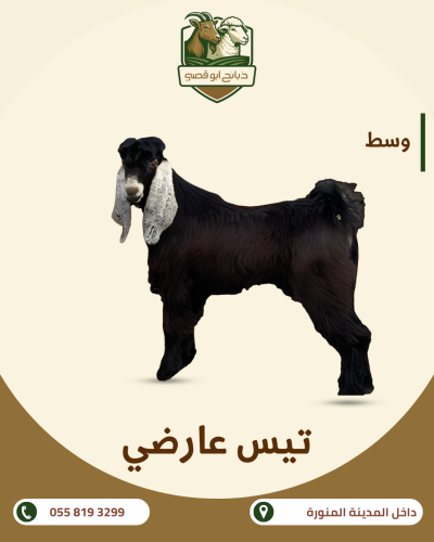 Local bulls 22/15 kg