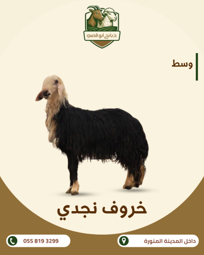 Najdi sheep 39/30 kg