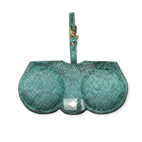 حافظة نظارة | Green python
