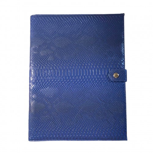 Folder | blue python