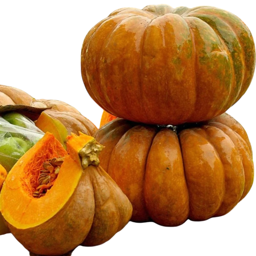 بذور قرع مغربي دكالي 50 جرام