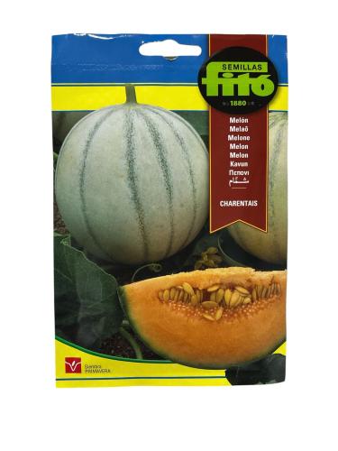 بذور شمام منقاوي شركة فيتو