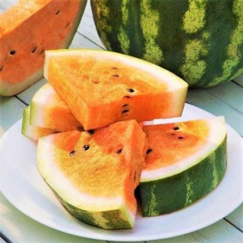 بذور بطيخ برتقالي (15 بذرة)