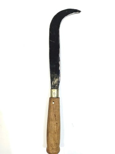 مجرده باكستاني