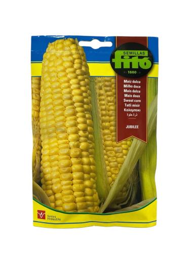 بذور ذرة حلوة فيتو