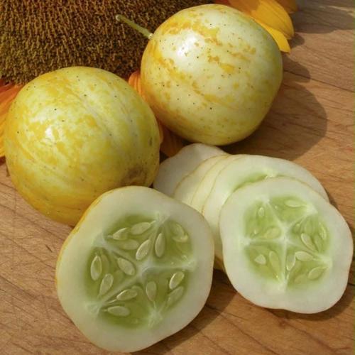 بذور خيار الليمون ( 20 بذره تقريبا )