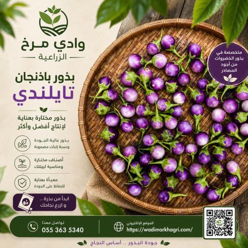 Purple Thai eggplant seeds (approximately 50 seeds...
