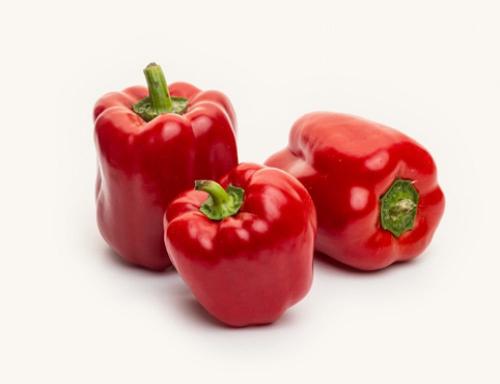بذور فلفل رومي احمر