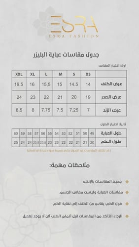 بليزر 2413