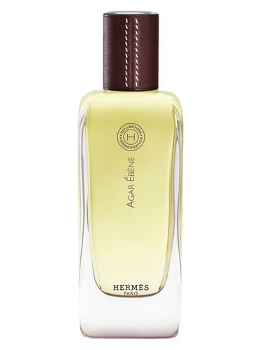 عطر اغار ايبين هيرميس او دو تواليت 100 مل
