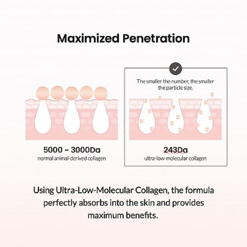 مصل الكولاجين لشد المسام من بيودانس Biodance Pore...