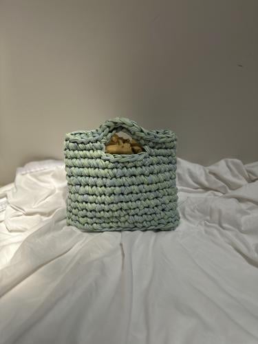 Mint Summer Bag