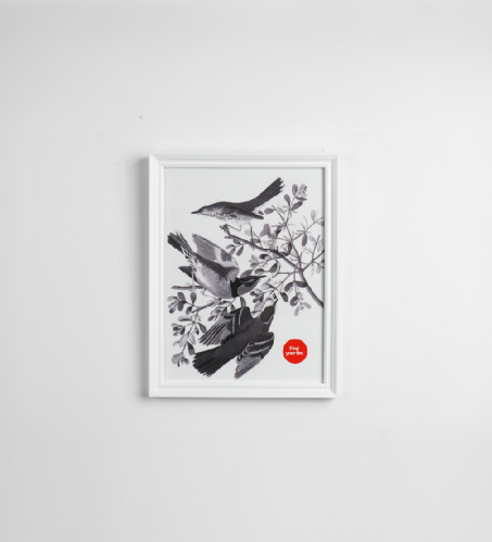 لوحة Find Your Fire | Birds Art بإطار أبيض فاخر