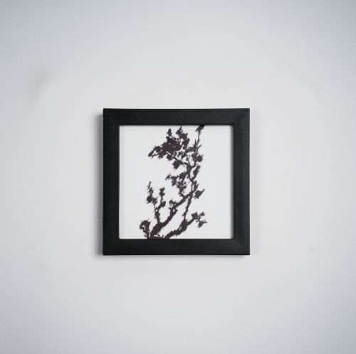 لوحة Nature Ink | فن نباتي تجريدي بإطار أسود | ديك...