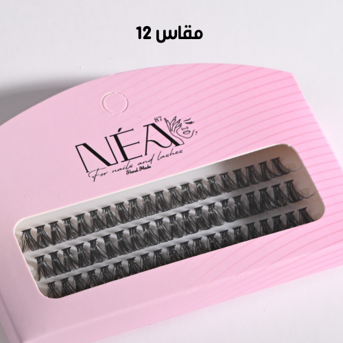 Daily Natural Light PIL2 Lashes