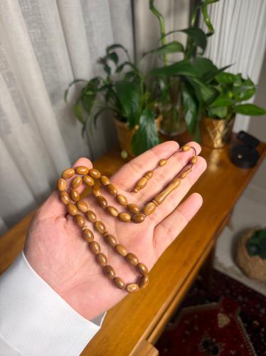 كوك بيضاوي تمليكة