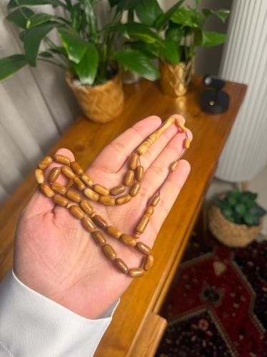 كوك صنوبري تمليكة