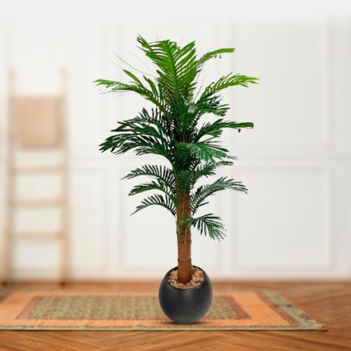 شجر نخل مركن فيبر