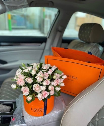 حلا لافيرا وورد