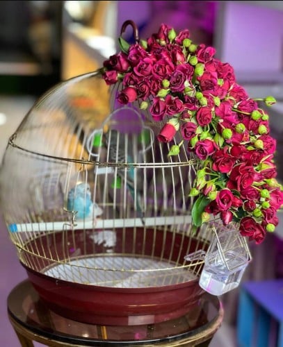 طيور الحب مع ورد