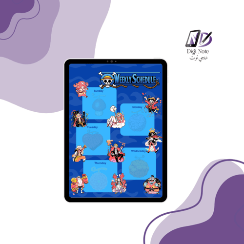 One Piece Digital Organizers – Three Different For...