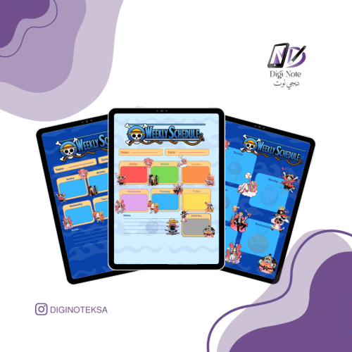 One Piece Digital Organizers – Three Different For...